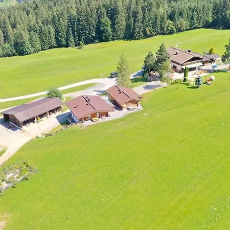 Apartment Berggasthof Staudachstub'n Kirchberg in Tirol
