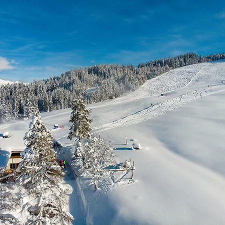 Berggasthof Staudachstub'n Apartment Kirchberg in Tirol