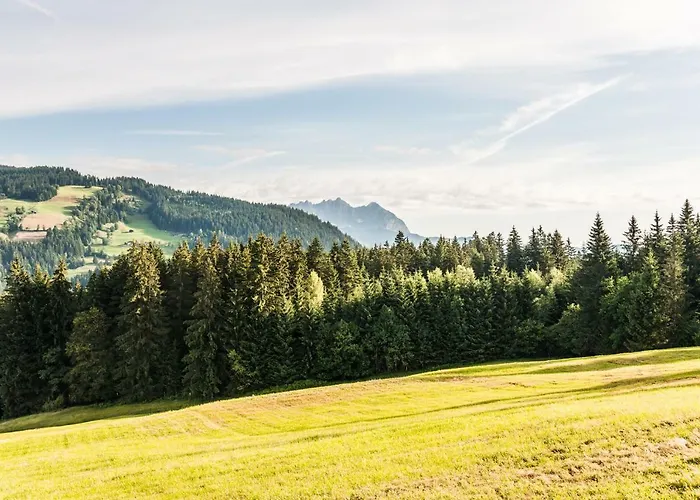 Berggasthof Staudachstub'n Lejlighed Kirchberg in Tirol